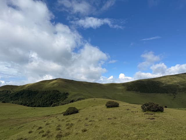 Rolling green hills under a partly cloudy blue sky, with a few dark shrubs scattered across the landscape